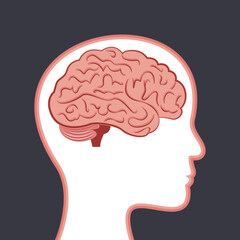 Human Brain isolated scientific illustration design