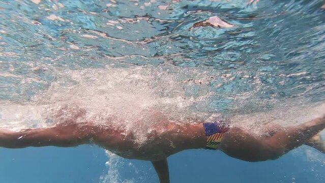 Man doing freestyle crawl stroke technique in water pool lane training for competition