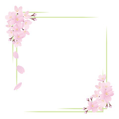 リアルな桜の花の正方形のフレームイラスト