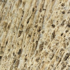 stone wall texture