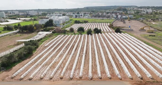 Aerial view of agricultural greenhouses in the fields. Growing organic vegetables and fruits on plantations. Agricultural crops. High quality 4k footage
