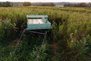 wagon in field of sunflowers