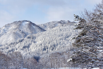 Snow covered mountain
