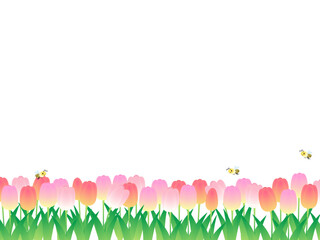 可愛いミツバチが飛び交う春のチューリップ畑のフレーム背景イラスト