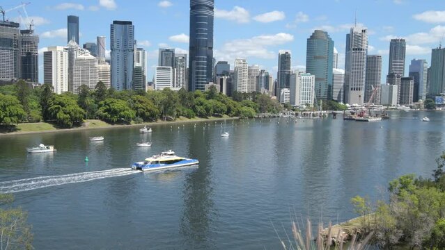 City Cat ferry service travelling down Brisbane River with cityscape in the brackground