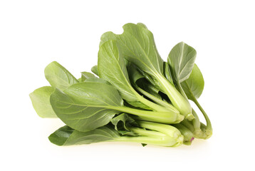 Pok Choi on white background