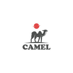 camel logo standing in the desert design vector illustration