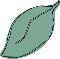 Green lemon leaves. Leaf, clipping path, isolated on white background. Yellow. Citrus. Minimalist doodle style. Black line. Vector illustration.