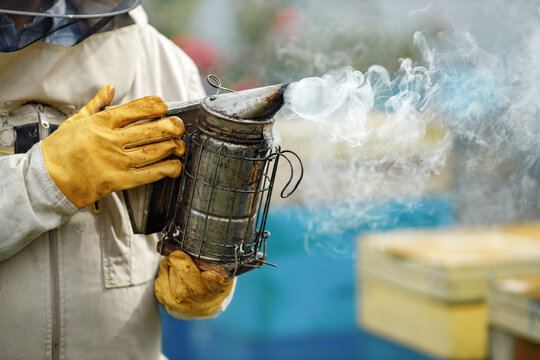 Cropped photo of bee smoker in hands of beekeeper on the apiary