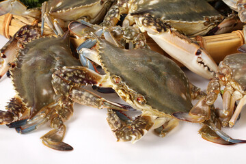 Crab on white background