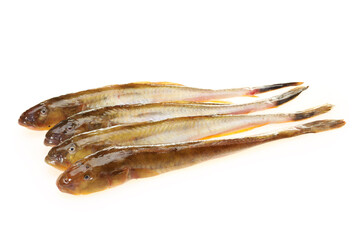 raw fishes on a white background