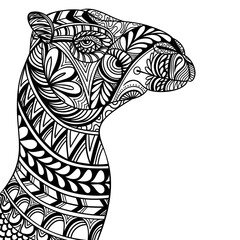 Camel head side position mandala zentangle coloring page illustration