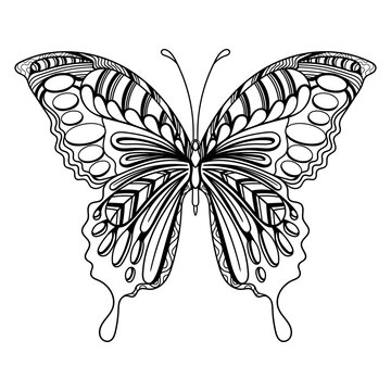 Butterfly art mandala zentangle coloring page illustration