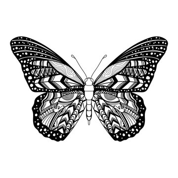 Butterfly mandala zentangle coloring page illustration