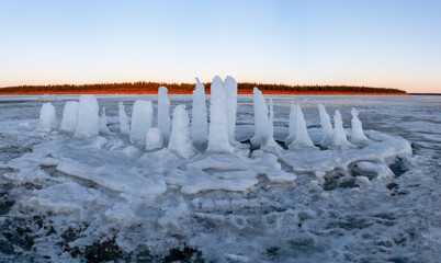 A panorama of abandoned and melting ice cut with pillars for defrosting and eating stands covered with snow on the Vilyui River in Yakutia in winter at sunset