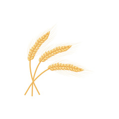 An ear of rye. Three ears of rye. Flake.Illustration for food packaging. Vector illustration isolated on a white background