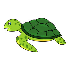 Sea Turtle Cartoon