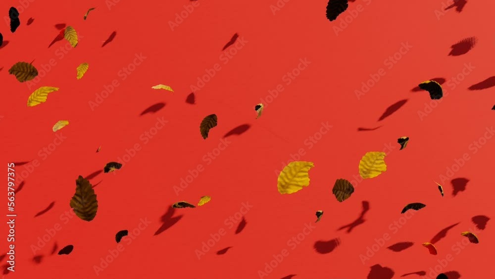 Sticker falling leaf with red background