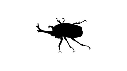 Japanese rhinoceros beetle silhouette
