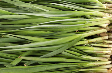 Leek background