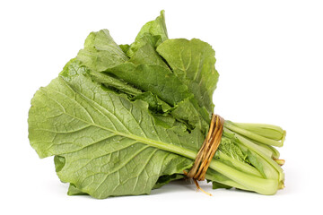 Small Chinese cabbage on white background