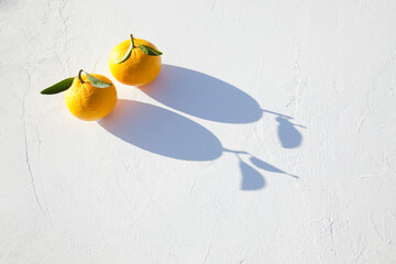 真っ白な漆喰に置かれた柚子と影