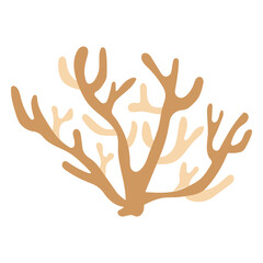 Corals