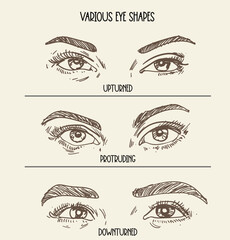 hand drawn eye expression collection vector illustratioan clip art and 