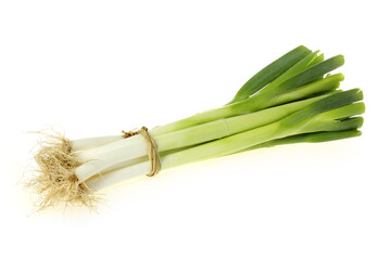 bunch of fresh green onions on white background .