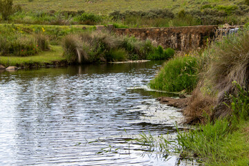 A stream runs through a green field and over a weir
