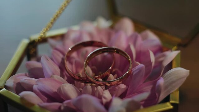 Two gold rings lie on top of beautiful flowers. Shooting a cool composition