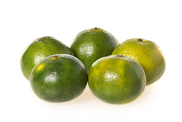 tangerine on white background