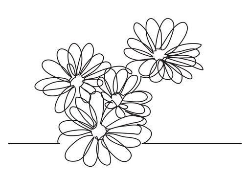 continuous line drawing vector illustration with FULLY EDITABLE STROKE - beautiful flowers