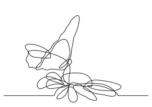 continuous line drawing vector illustration with FULLY EDITABLE STROKE - butterfly and flower