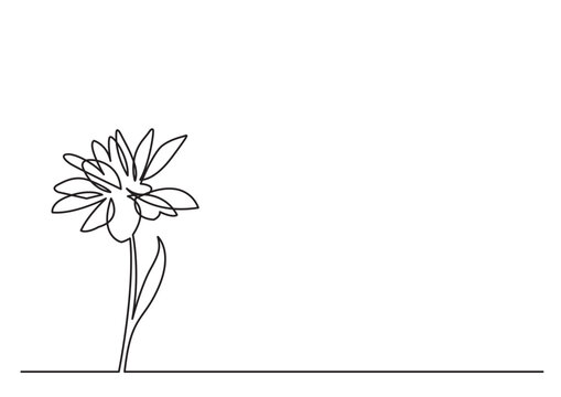 continuous line drawing vector illustration with FULLY EDITABLE STROKE - one beautiful flower