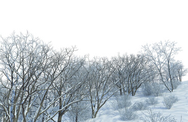 3D render forest and nature in winter