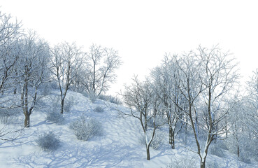 3D render forest and nature in winter