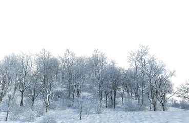 3D render forest and nature in winter