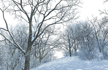 3D render forest and nature in winter