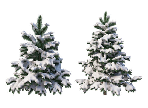 3D render forest and nature in winter