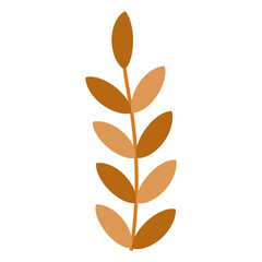 leaves isolated on white