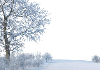 3D render forests and nature during winter