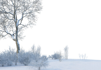 3D render forests and nature during winter