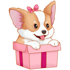 puppy corgi with a valentine gift box