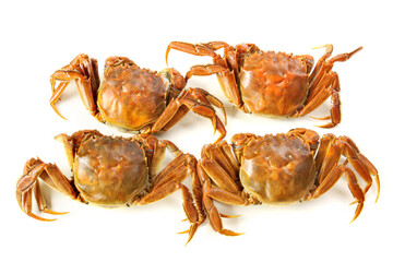 cooked crab on white background