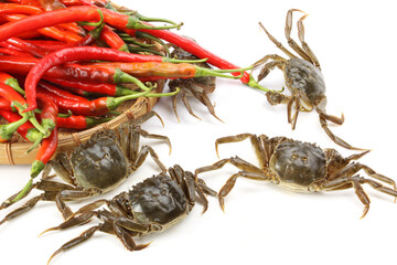 Crab with red chili pepper on white background