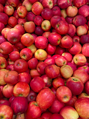 Apples for sale at a fruit and vegetable market