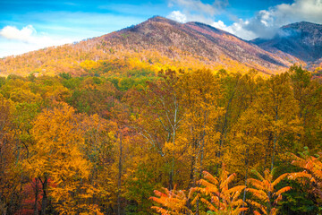 Fototapeta premium Autumn hillsides in the Smoky Mountains