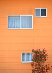 Several windows on a bright orange wall and plants.