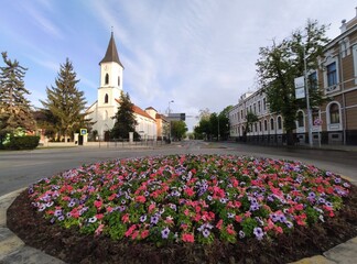Romania, roundabout with red flowers In Bistrita  near the Old Post Office - obrazy, fototapety, plakaty